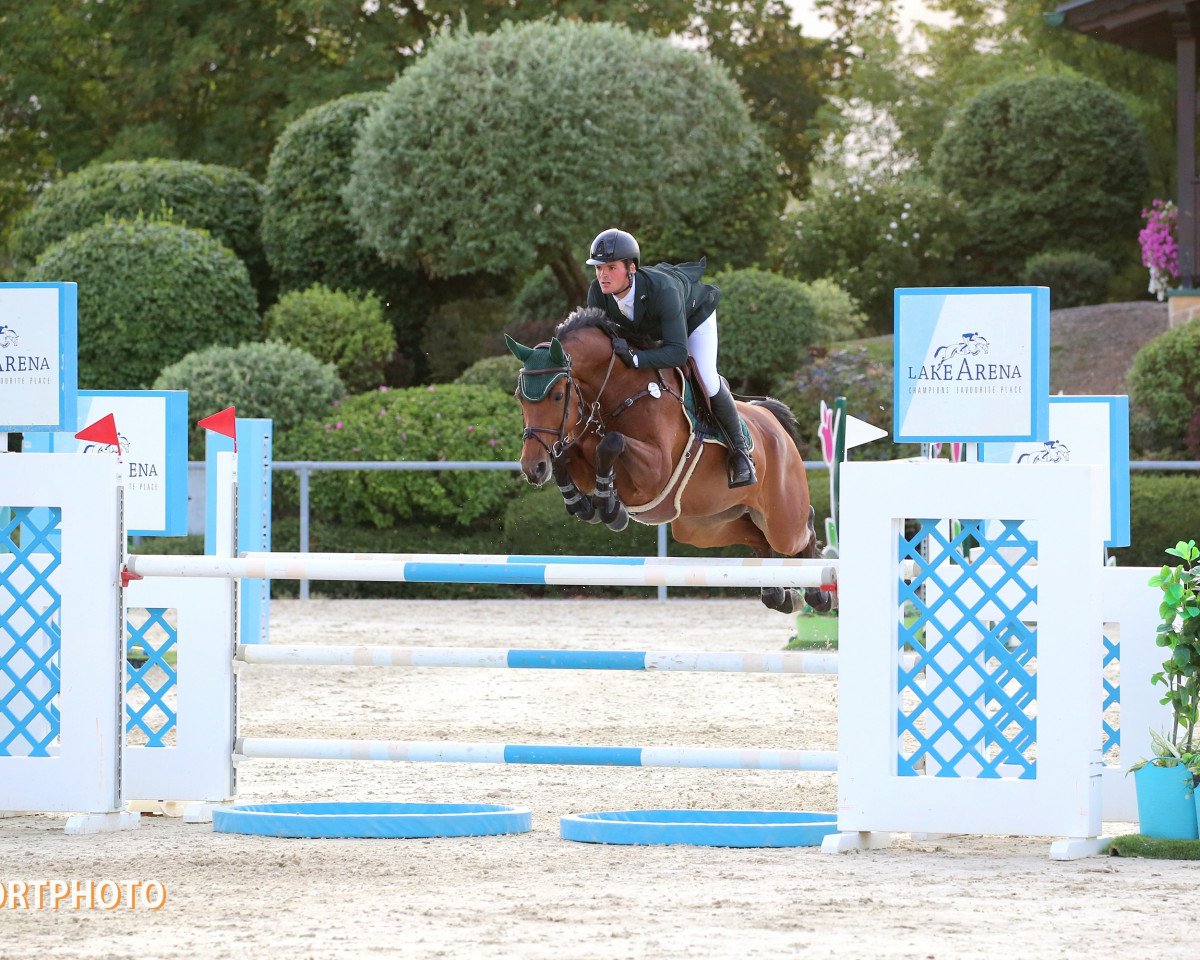 jumper Valentina Rs (Hanoverian, 2008, from Valentino)