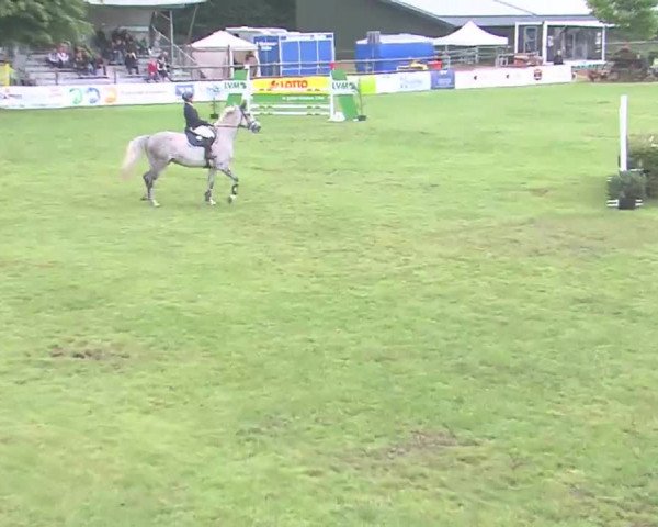 Reitturnier Tasdorf 2016