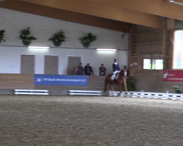 Coesfelder Reitertage 2016