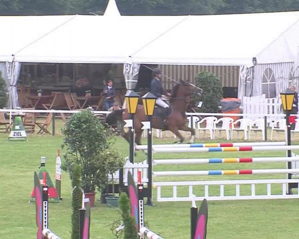 Reitturnier Tasdorf 2016