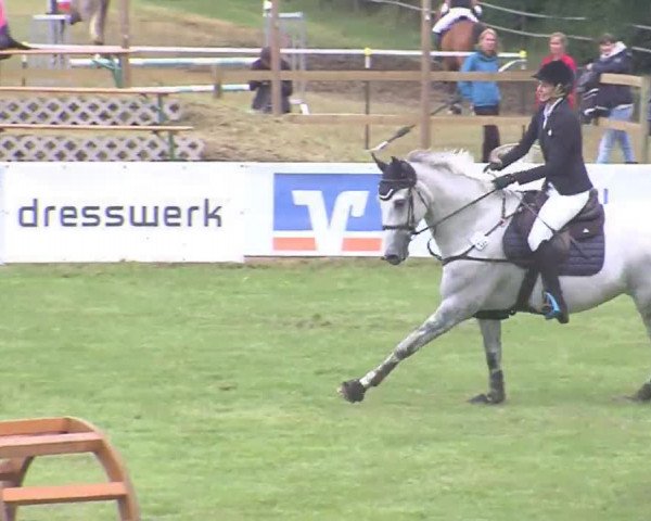 Reitturnier Tasdorf 2016