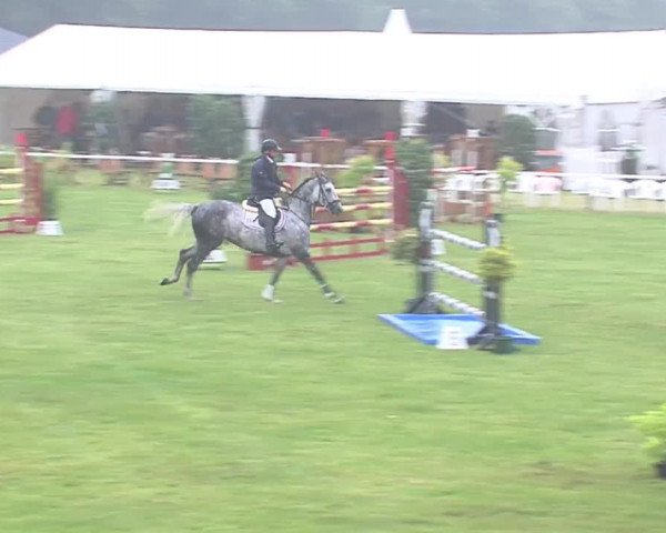 Reitturnier Tasdorf 2016