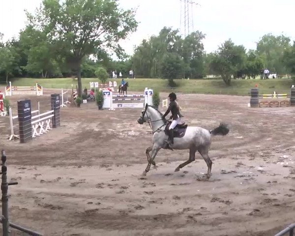 Reitturnier Wiesloch 2016