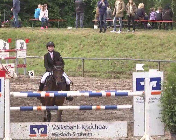 Reitturnier Wiesloch 2016