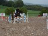 jumper Conradt 3 (German Sport Horse, 2013, from Casskeni II)