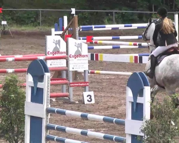 Reitturnier Wiesloch 2016