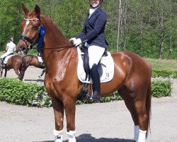 dressage horse Anando 6 (Westphalian, 2014, from All At Once)