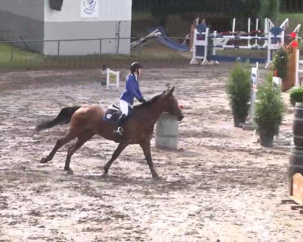 Reitturnier Wiesloch 2016