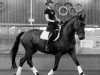 dressage horse Samburu 2 (Rhinelander, 2006, from Sir Chamberlain)