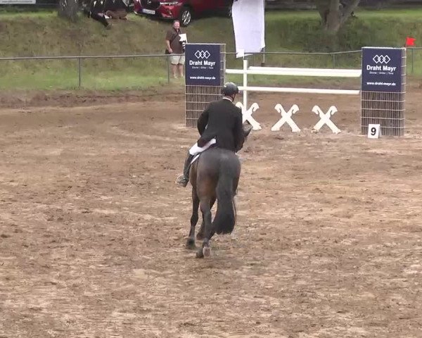 Reitturnier Wiesloch 2016