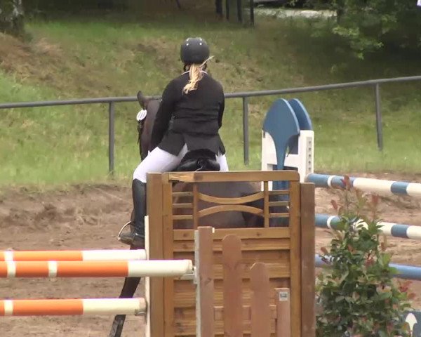 Reitturnier Wiesloch 2016