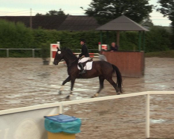 Reitturnier Fröndenberg 2016