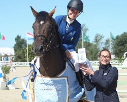 Springpferd Jackson (Belgisches Warmblut, 2009, von Diamant de Semilly)