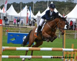 jumper Kerwin van Orchid (Nederlands Rijpaarden en Pony, 2010, from Kanshebber)