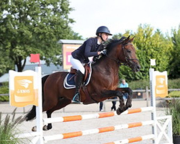 Springpferd Kalypso van Orchid (Nederlands Rijpaarden en Pony, 2005, von Kanshebber)