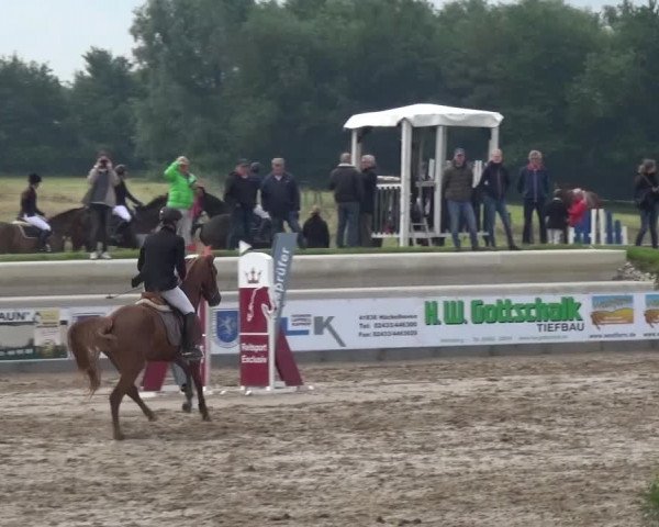 Heinsberger Dressur- und Springtage 2016