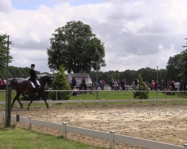 Coesfelder Reitertage 2016