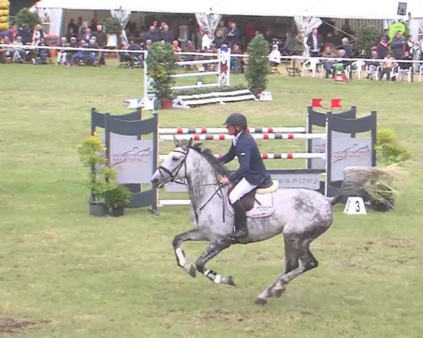 Reitturnier Tasdorf 2016