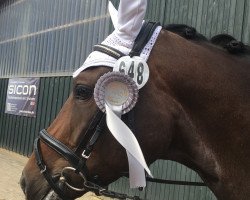 dressage horse Luna Löwenherz (Westphalian, 2013, from Licotus)