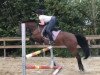 broodmare Destiny 231 (Westphalian, 2008, from Der feine Lord AT)