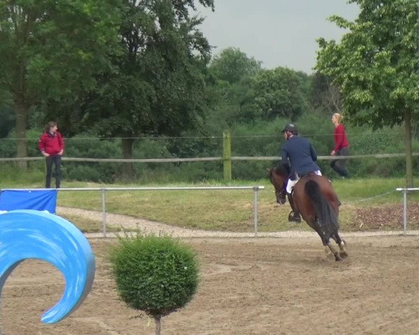 Heinsberger Dressur- und Springtage 2016
