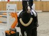 jumper Centurion 9 (Trakehner, 2004, from Elpar xx)