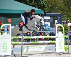 Springpferd Freaky Friday 4 (Trakehner, 2005, von Peking Opera xx)