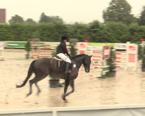 Reitturnier Fröndenberg 2016