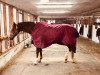 dressage horse Dusty (Hessian Warmblood, 2003, from Dartagnan)