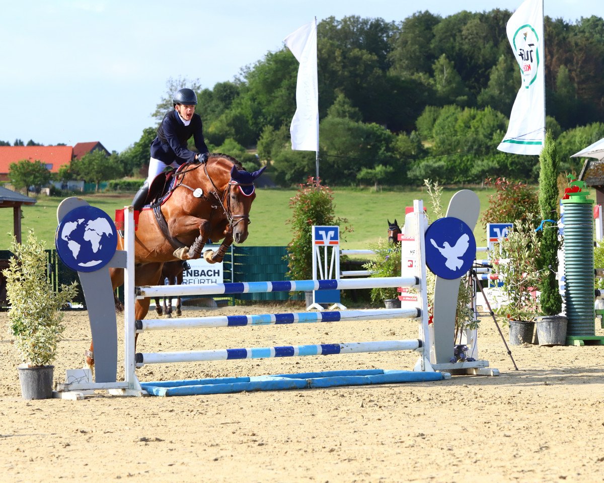 jumper Juliet Tilde (KWPN (Royal Dutch Sporthorse), 2014, from Nassau)