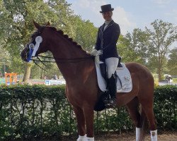 dressage horse Polerouge Vdh (Rhinelander, 2010, from Poleggio)