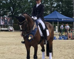 dressage horse Coronelli (Westphalian, 2002, from Casparino)