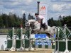 jumper Balou's Pushkin (Oldenburg show jumper, 2011, from Balou du Rouet)