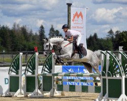 jumper Balou's Pushkin (Oldenburg show jumper, 2011, from Balou du Rouet)