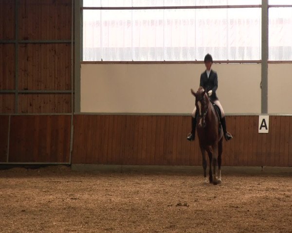 Reitturnier Fröndenberg 2016