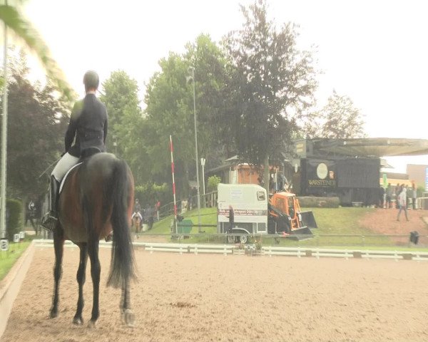 Reitturnier Fröndenberg 2016