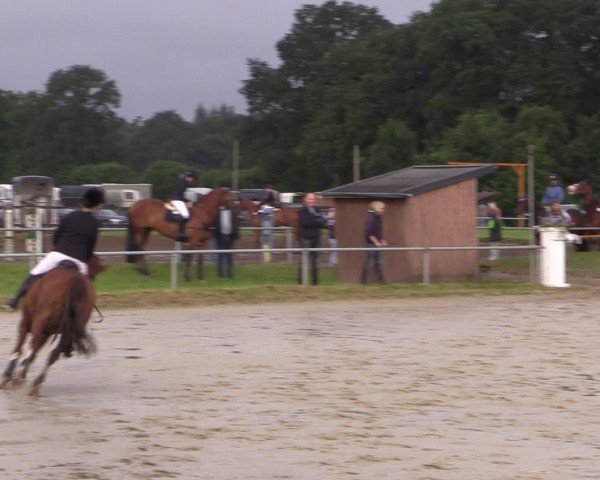 Coesfelder Reitertage 2016