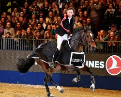 jumper Hello Vincent (Zangersheide riding horse, 2009, from Consul de la Vie Z)