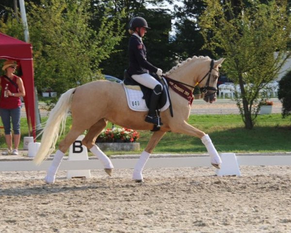 broodmare Mariposa CM (German Riding Pony, 2015, from FS Mr. Right)