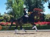 dressage horse Elrond 19 (Westphalian, 2014, from Escolar)