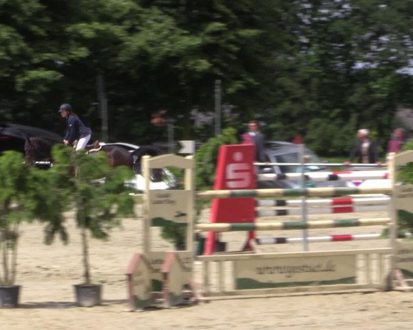 Coesfelder Reitertage 2016