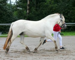 broodmare Farina vom Oderhaff (Fjord Horse, 2010, from Solbjør Borken)