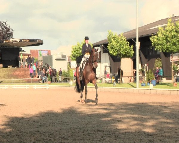 Reitturnier Fröndenberg 2016