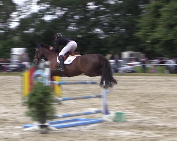 Coesfelder Reitertage 2016