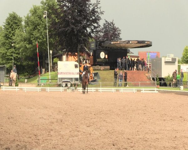 Reitturnier Fröndenberg 2016