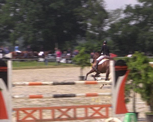 Coesfelder Reitertage 2016