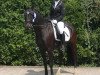 dressage horse Filou 2105 (unknown, 2012)