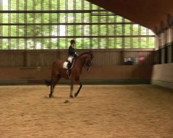 Reitturnier Fröndenberg 2016