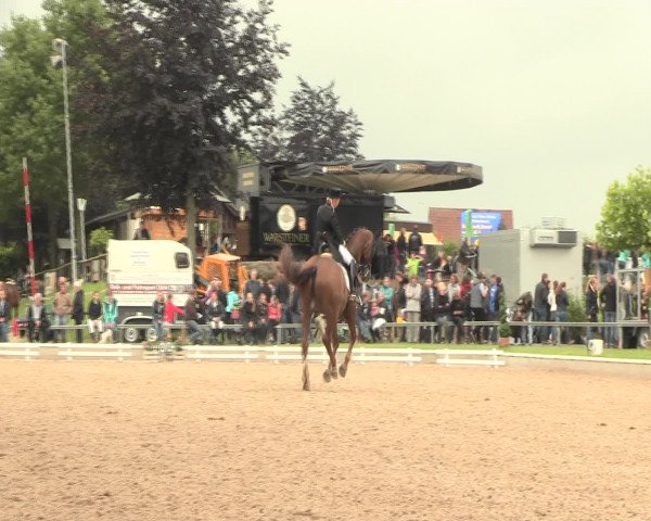 Reitturnier Fröndenberg 2016