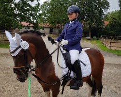 dressage horse Number One (German Riding Pony, 2002, from Namajan)